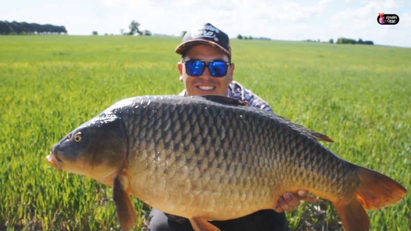 Pescaron una carpa de 15 kilos en el arroyo Tapalqu�